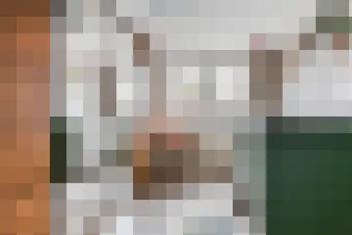 Prinsenlaan 24 Woerden thumbnail 16