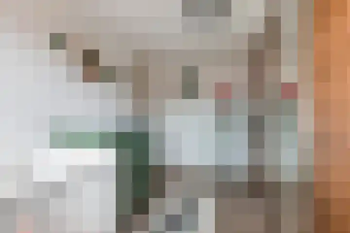 Prinsenlaan 24 Woerden thumbnail 17