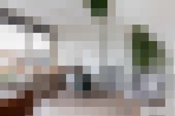 Prinsenlaan 24 Woerden thumbnail 24