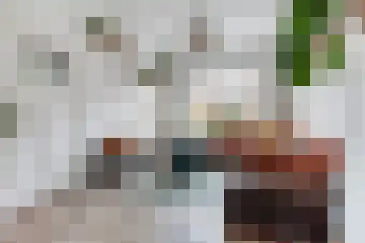 Prinsenlaan 24 Woerden thumbnail 6