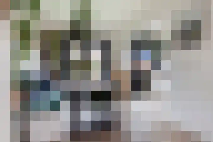 Prinsenlaan 24 Woerden thumbnail 8