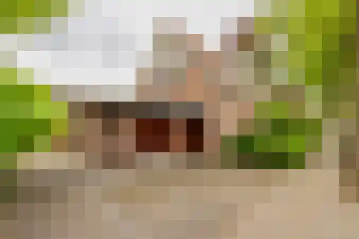 Prinsenlaan 26 Heemstede thumbnail 40