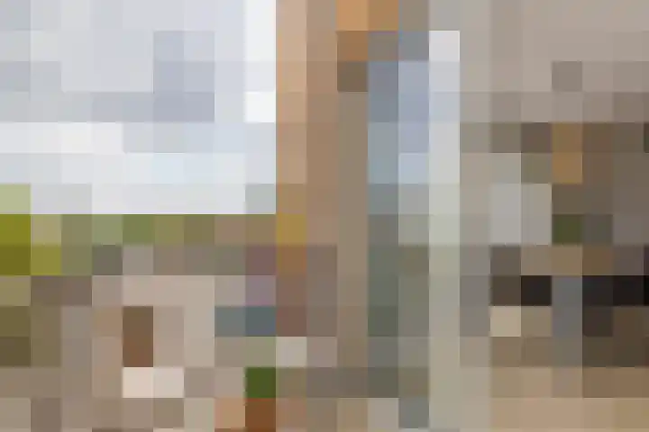 Prinsenlaan 27 a Scherpenzeel thumbnail 15