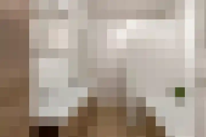 Prinsenlaan 27 a Scherpenzeel thumbnail 19