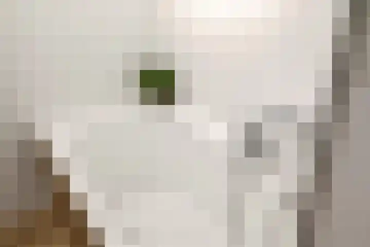 Prinsenlaan 27 a Scherpenzeel thumbnail 21