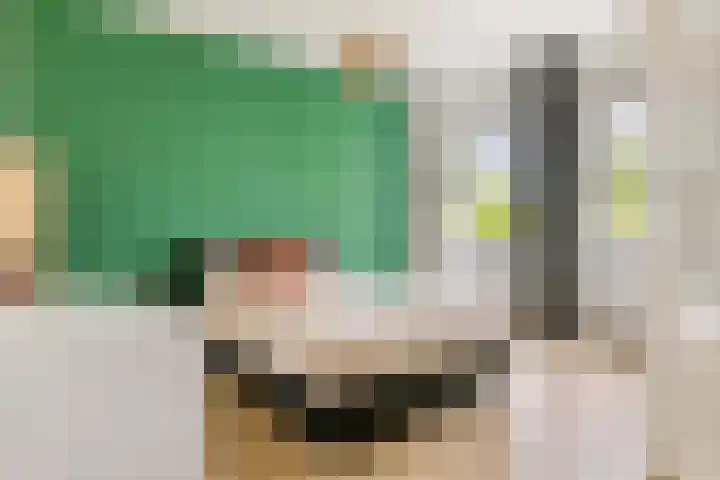 Prinsenlaan 27 a Scherpenzeel thumbnail 23