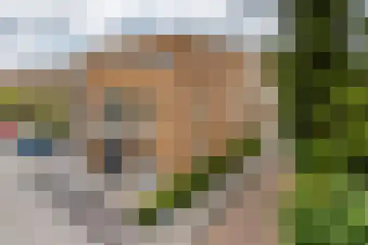 Prinsenlaan 27 a Scherpenzeel thumbnail 26