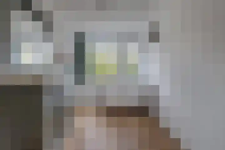 Prinsenlaan 29 Middelburg thumbnail 16