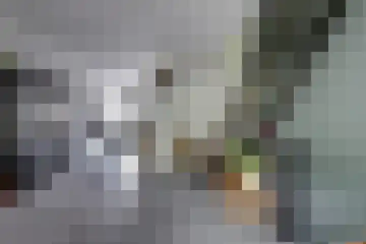 Prinsenlaan 29 Middelburg thumbnail 22