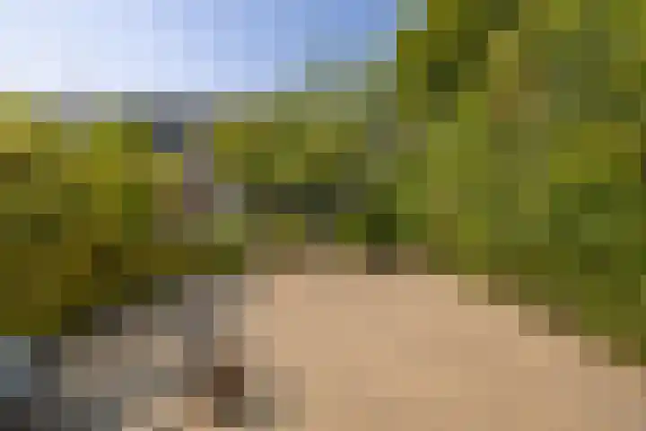 Prinsenlaan 3 Middelburg thumbnail 18