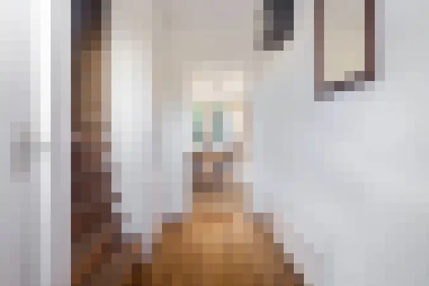 Prinsenlaan 31 Scherpenzeel thumbnail 16
