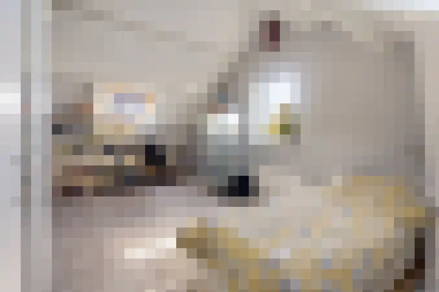 Prinsenlaan 31 Scherpenzeel thumbnail 28