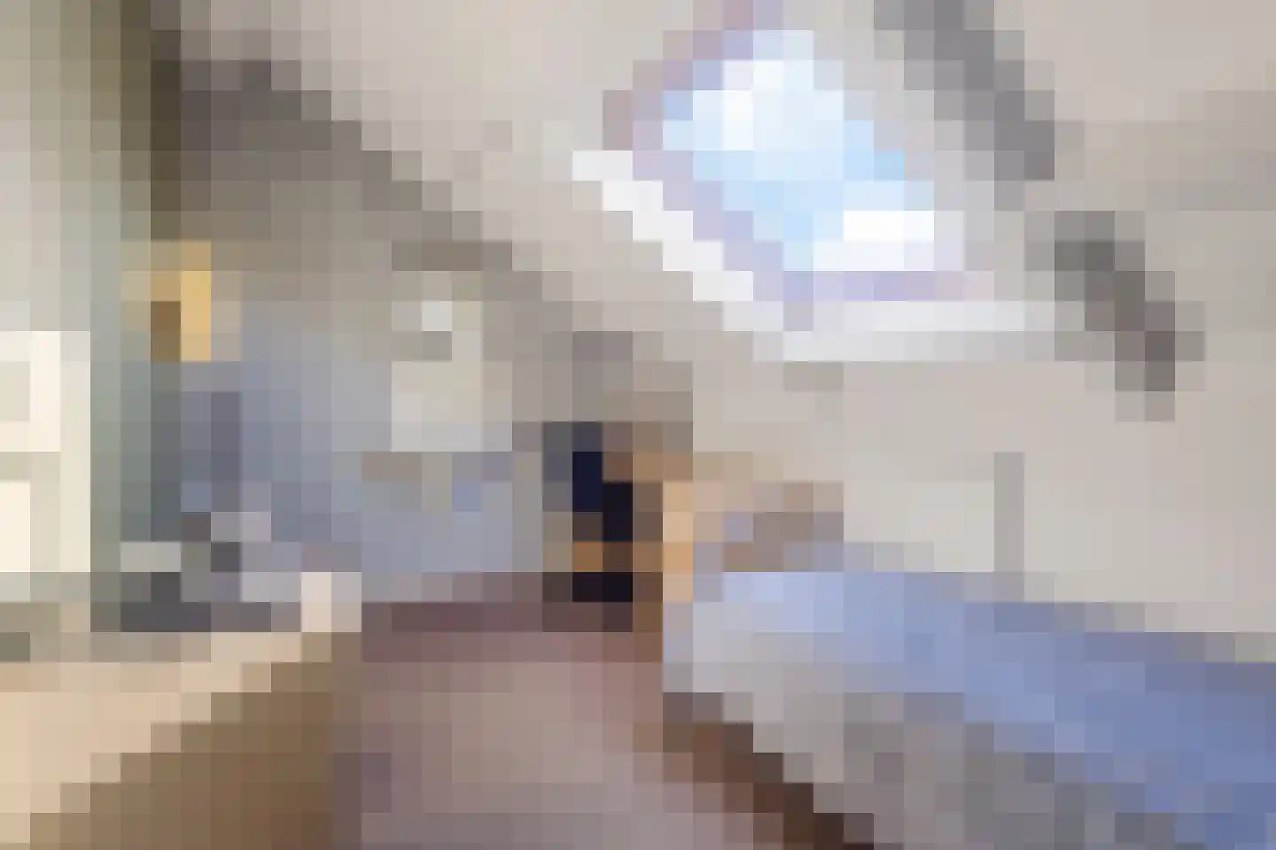Prinsenlaan 31 Scherpenzeel thumbnail 29