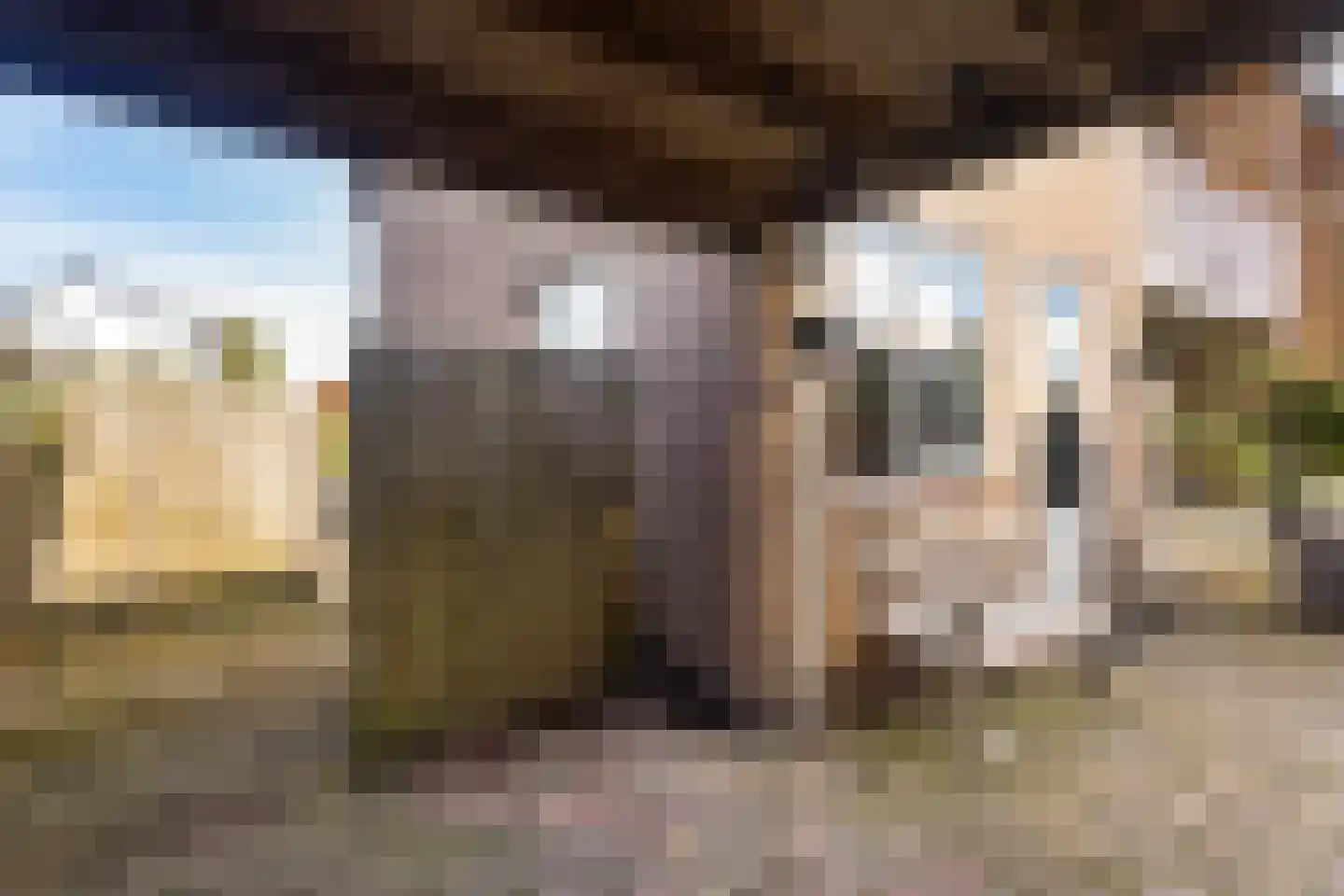 Prinsenlaan 31 Scherpenzeel thumbnail 33
