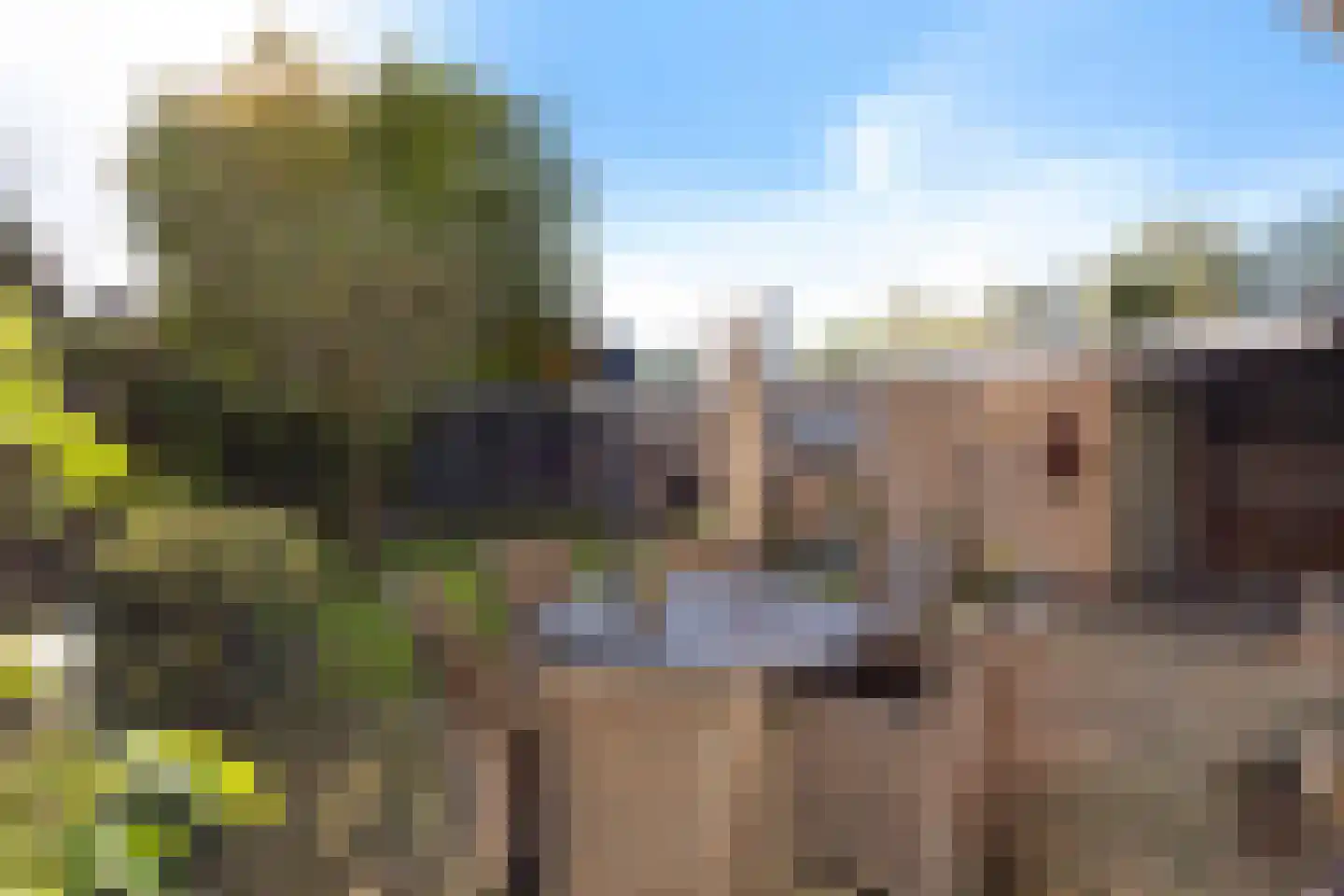 Prinsenlaan 31 Scherpenzeel thumbnail 35