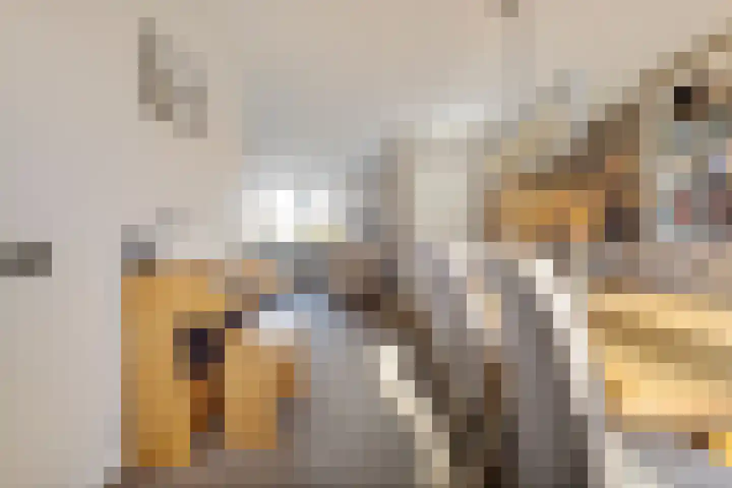 Prinsenlaan 31 Scherpenzeel thumbnail 7