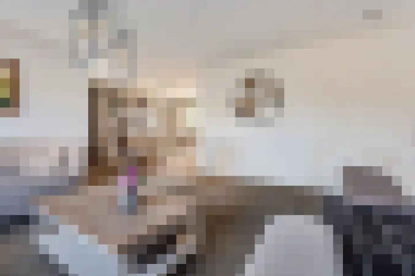 Prinsenlaan 31 Scherpenzeel thumbnail 9