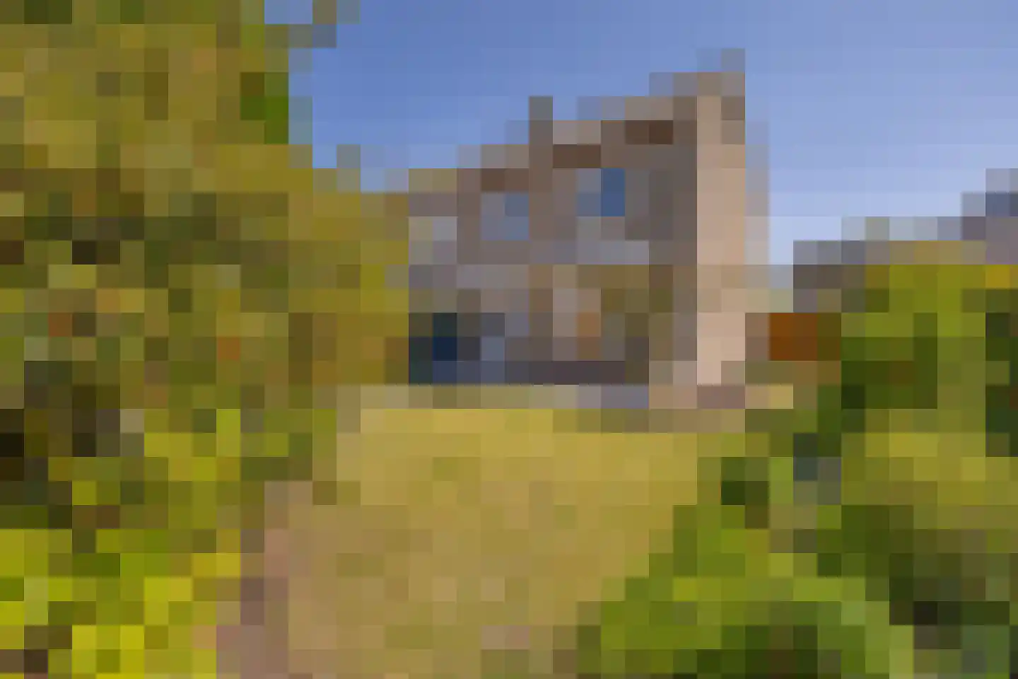 Prinsenlaan 32 Middelburg thumbnail 19