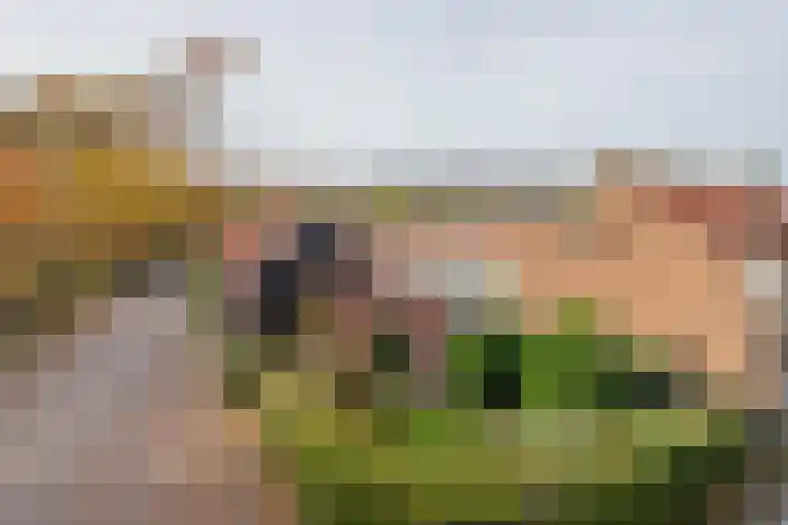 Prinsenlaan 36 Heemstede thumbnail 36
