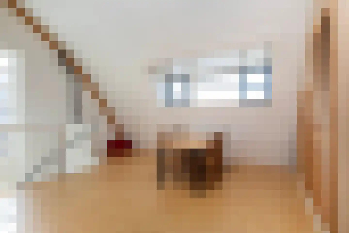 Prinsenlaan 4 Maartensdijk thumbnail 31