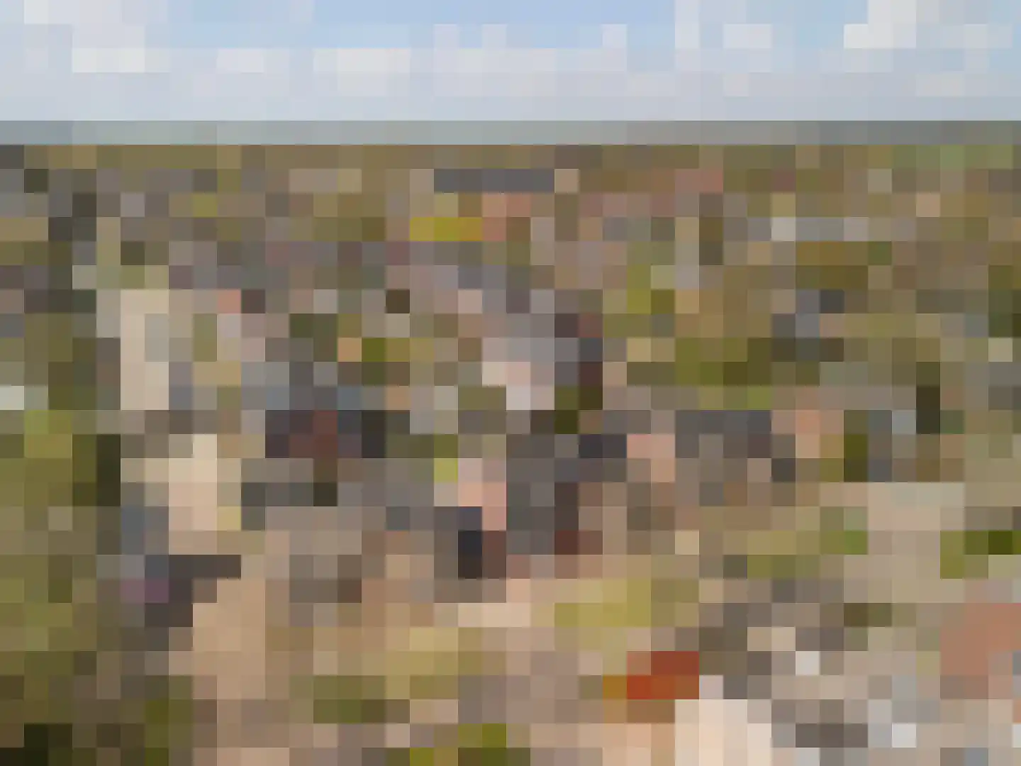 Prinsenlaan 4 Maartensdijk thumbnail 36