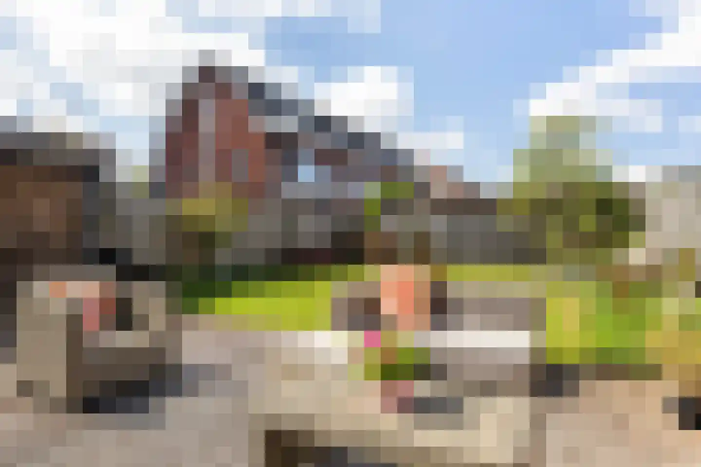 Prinsenlaan 4 Maartensdijk thumbnail 4