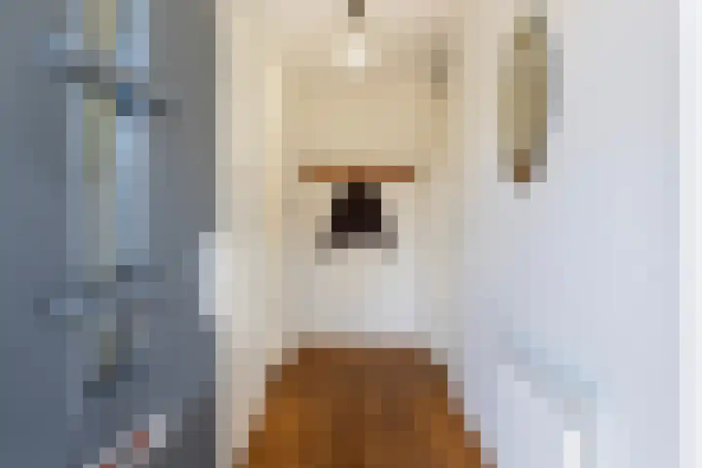 Prinsenlaan 4 Maartensdijk thumbnail 6