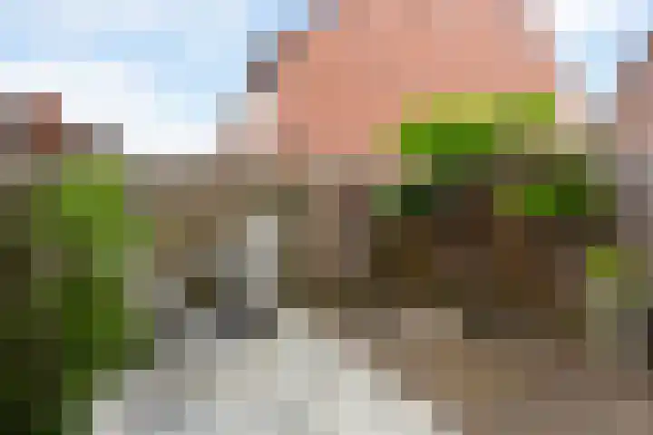 Prinsenlaan 45 H Woerden thumbnail 13