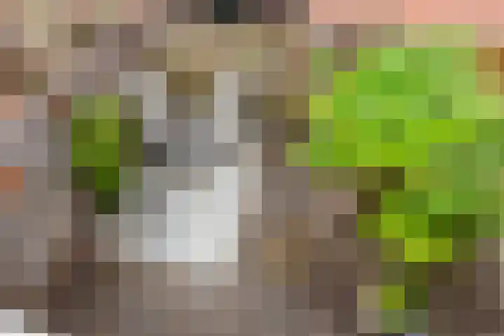 Prinsenlaan 45 H Woerden thumbnail 16