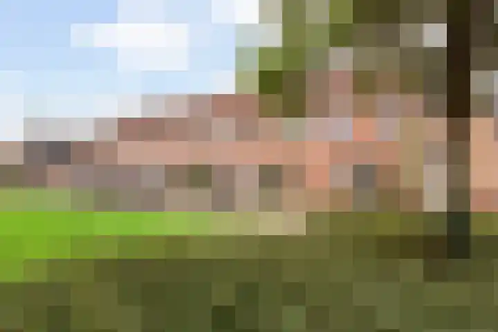 Prinsenlaan 45 H Woerden thumbnail 28