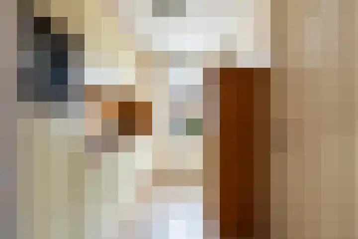 Prinsenlaan 45 H Woerden thumbnail 9