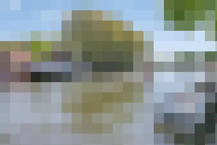 Prinsenlaan 45 J Woerden thumbnail 36