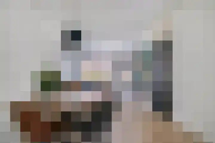 Prinsenlaan 45 J Woerden thumbnail 4