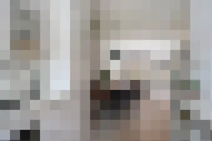 Prinsenlaan 45 J Woerden thumbnail 9