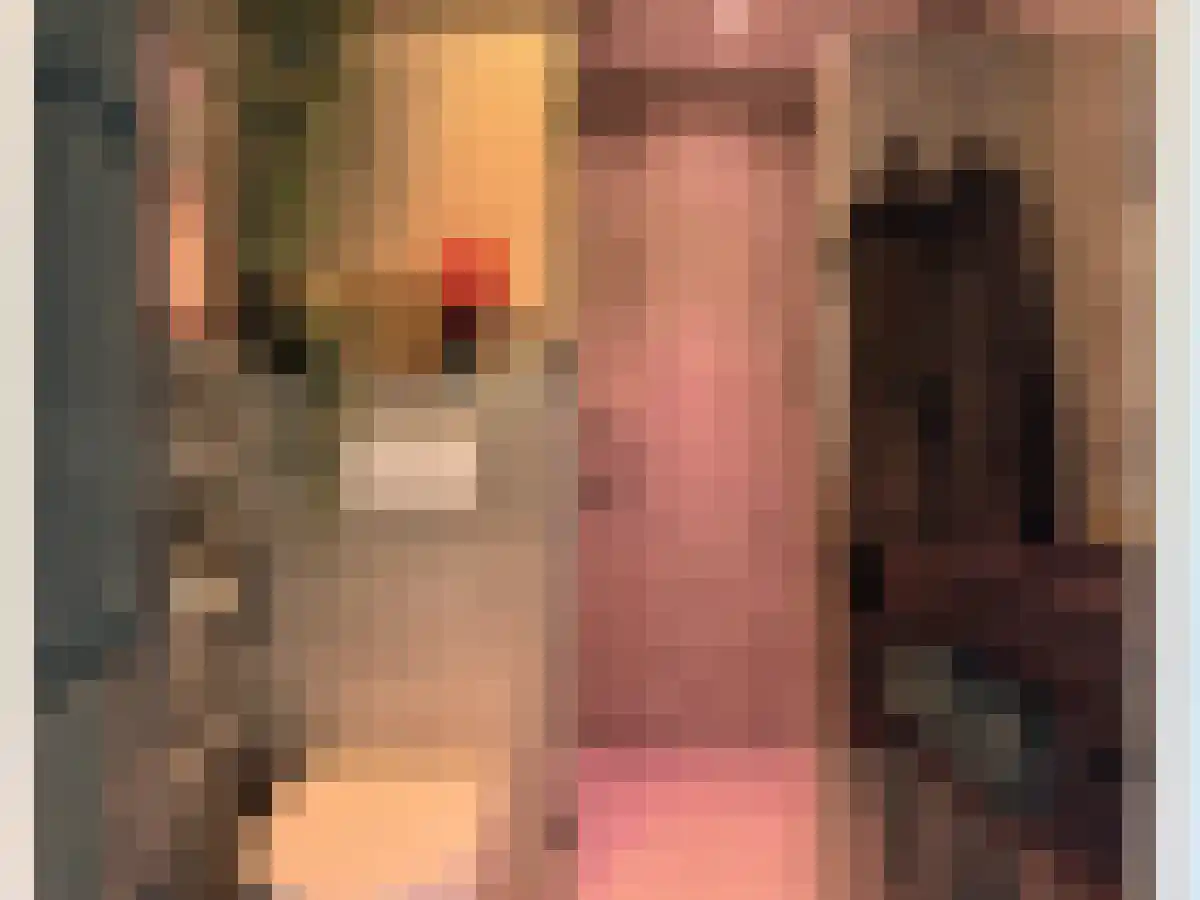 Prinsenlaan 46 Woerden thumbnail 5