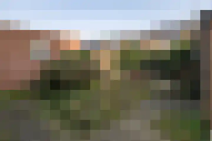 Prinsenlaan 50 Scherpenzeel thumbnail 33