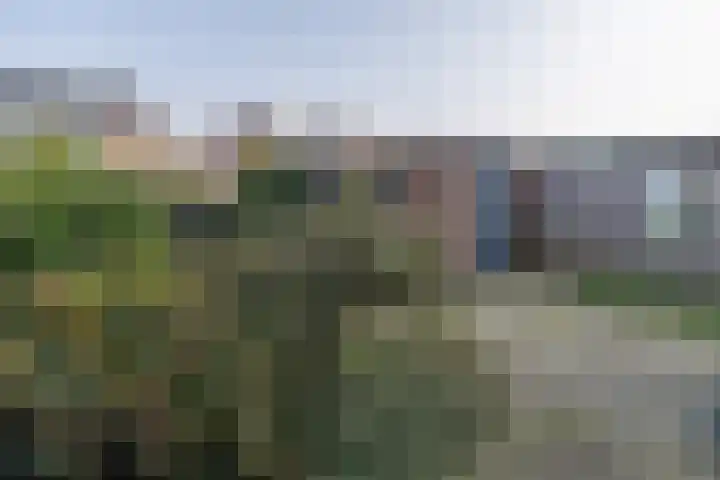 Prinsenlaan 50 Scherpenzeel thumbnail 34