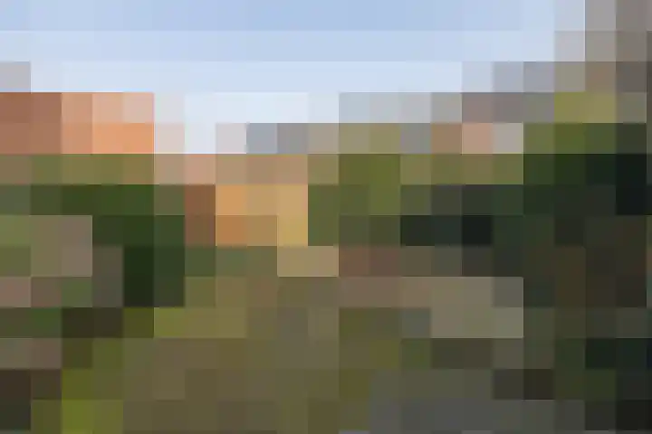 Prinsenlaan 50 Scherpenzeel thumbnail 36