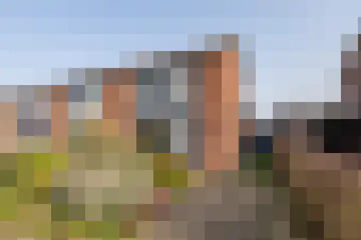 Prinsenlaan 50 Scherpenzeel thumbnail 42