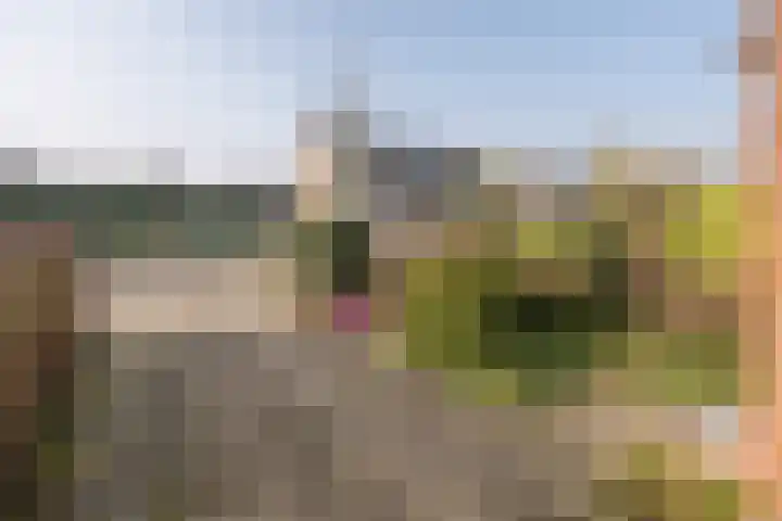 Prinsenlaan 50 Scherpenzeel thumbnail 43
