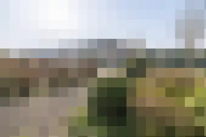 Prinsenlaan 50 Scherpenzeel thumbnail 47