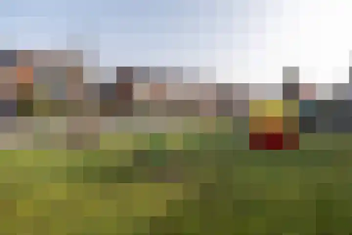 Prinsenlaan 50 Scherpenzeel thumbnail 49