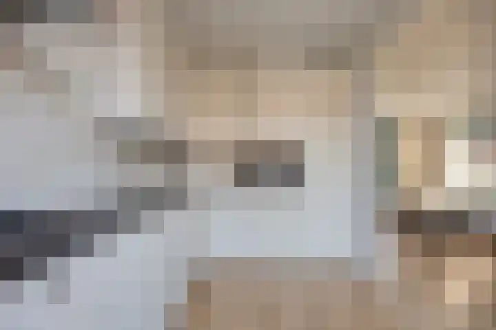 Prinsenlaan 58 Scherpenzeel thumbnail 13