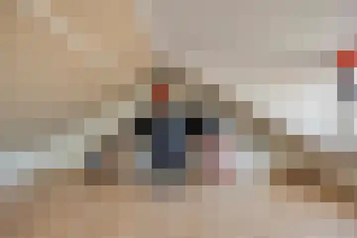 Prinsenlaan 58 Scherpenzeel thumbnail 22