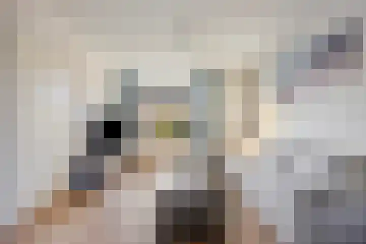Prinsenlaan 58 Scherpenzeel thumbnail 6