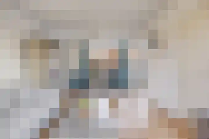 Prinsenlaan 58 Scherpenzeel thumbnail 7