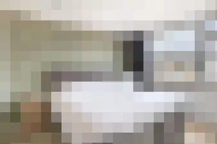 Prinsenlaan 6 Maasdijk thumbnail 26