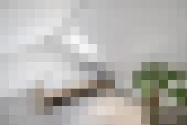 Prinsenlaan 6 Maasdijk thumbnail 34