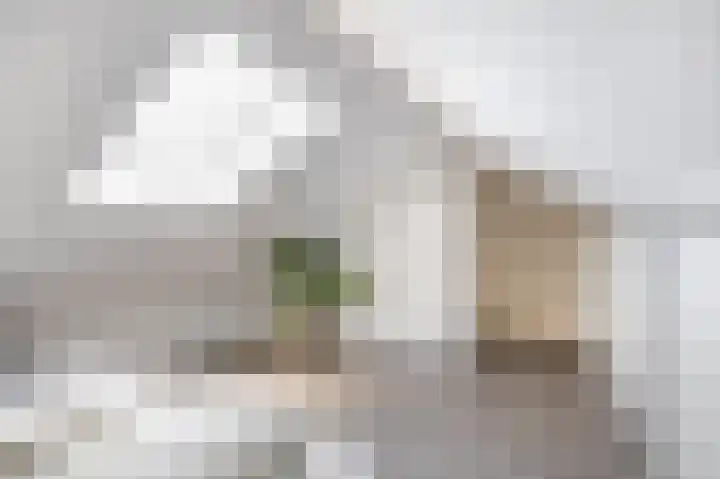Prinsenlaan 6 Maasdijk thumbnail 38