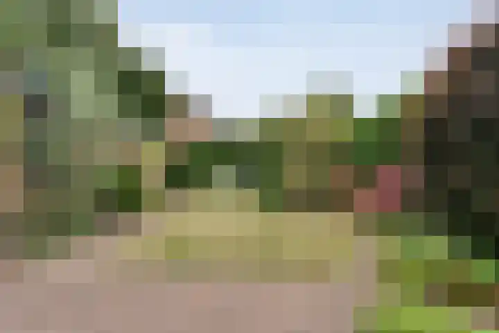 Prinsenlaan 61 Emmen thumbnail 5